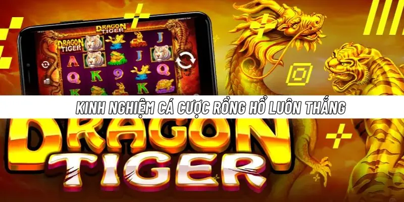 Chọn nhà cái uy tín giúp đảm bảo quyền lợi khi đặt cược Dragon Tiger