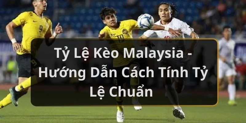 Tỷ Lệ Kèo Malaysia - SA88 Hướng Dẫn Cách Tính Tỷ Lệ Chuẩn